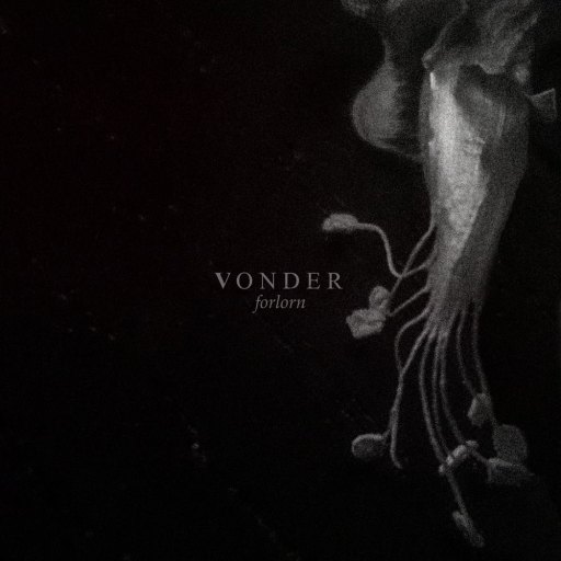 Vonder