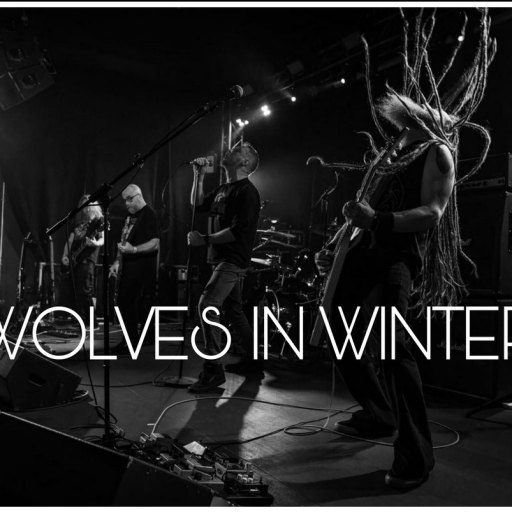 Wolves in Winter