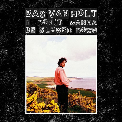 Bas van Holt