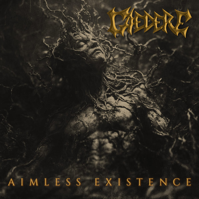 Aimless Existence