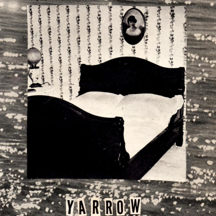 yarrow
