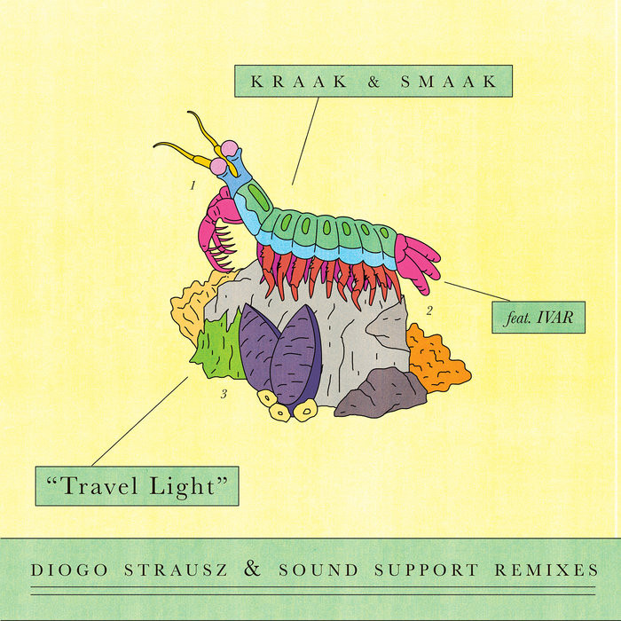 Travel Light (feat. IVAR) (Diogo Strausz & Sound Support Remixes)
